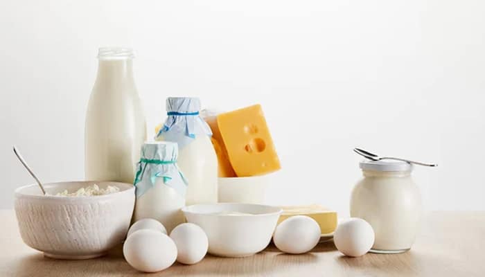 Are eggs dairy products What should consumers look for on labels - StartupStide - Startup Stride Are Eggs Dairy visual displaying eggs with milk, yogurt, and cheese on a table, explaining why eggs are often mistaken as dairy products