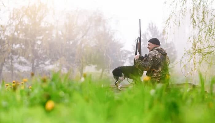 Why are hunting regulations passed - startupstride - Startup Stride Game Conservation Laws regulate hunting practices, requiring proper permits and adherence to ethical standards for hunters in natural habitats.