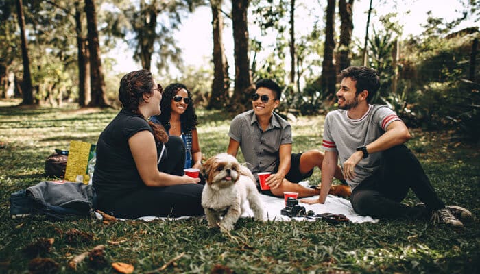 When and how to use funny questions to ask friends when bored - Startup Stride - Startup Stride Group of friends sitting on a picnic blanket in a park, laughing and chatting together, creating a fun moment inspired by funny questions to ask friends when bored.